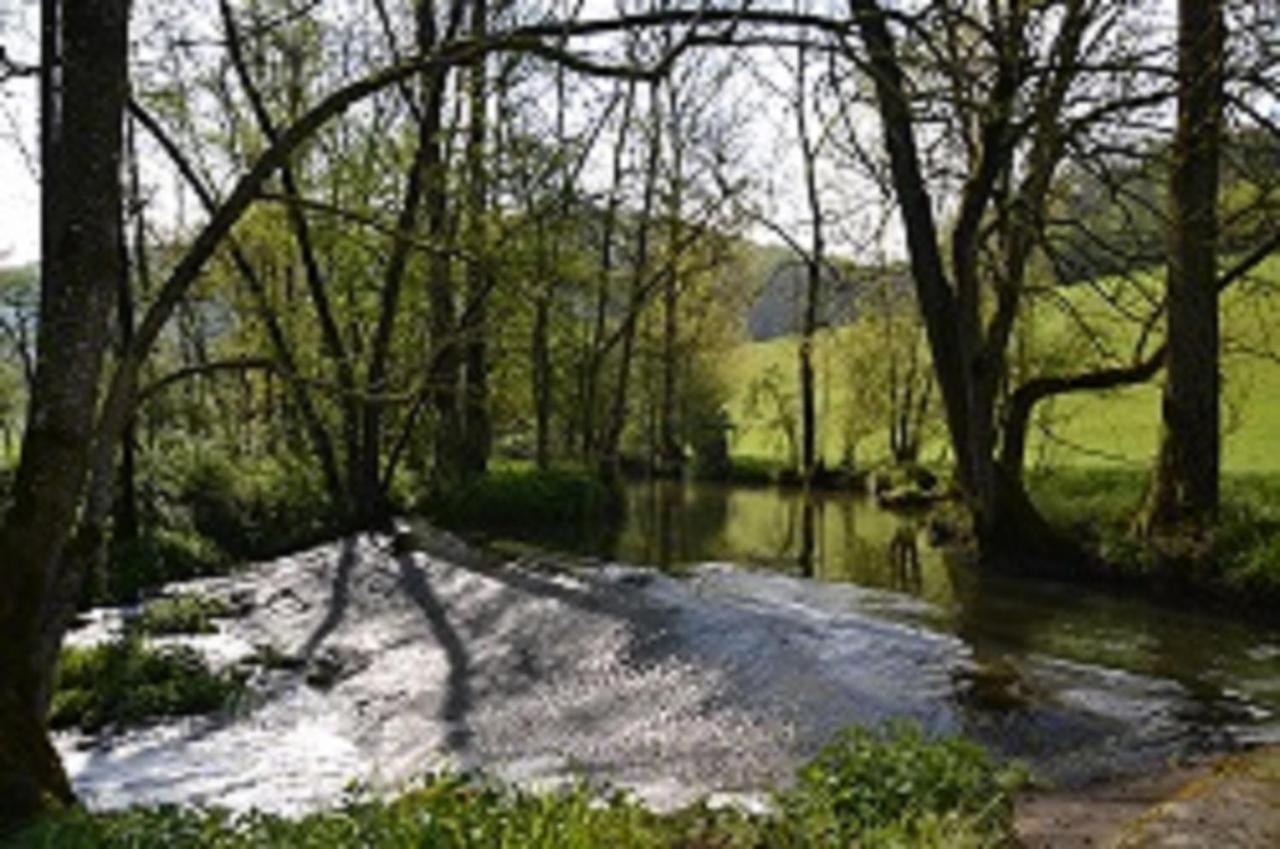 Gasthaus Holdermuehle Creglingen Dış mekan fotoğraf